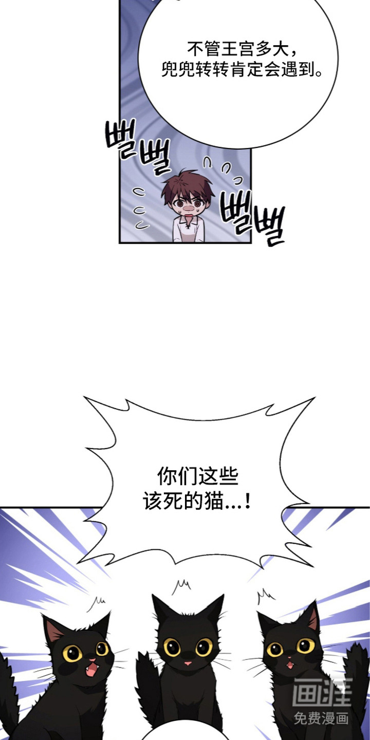第5话6