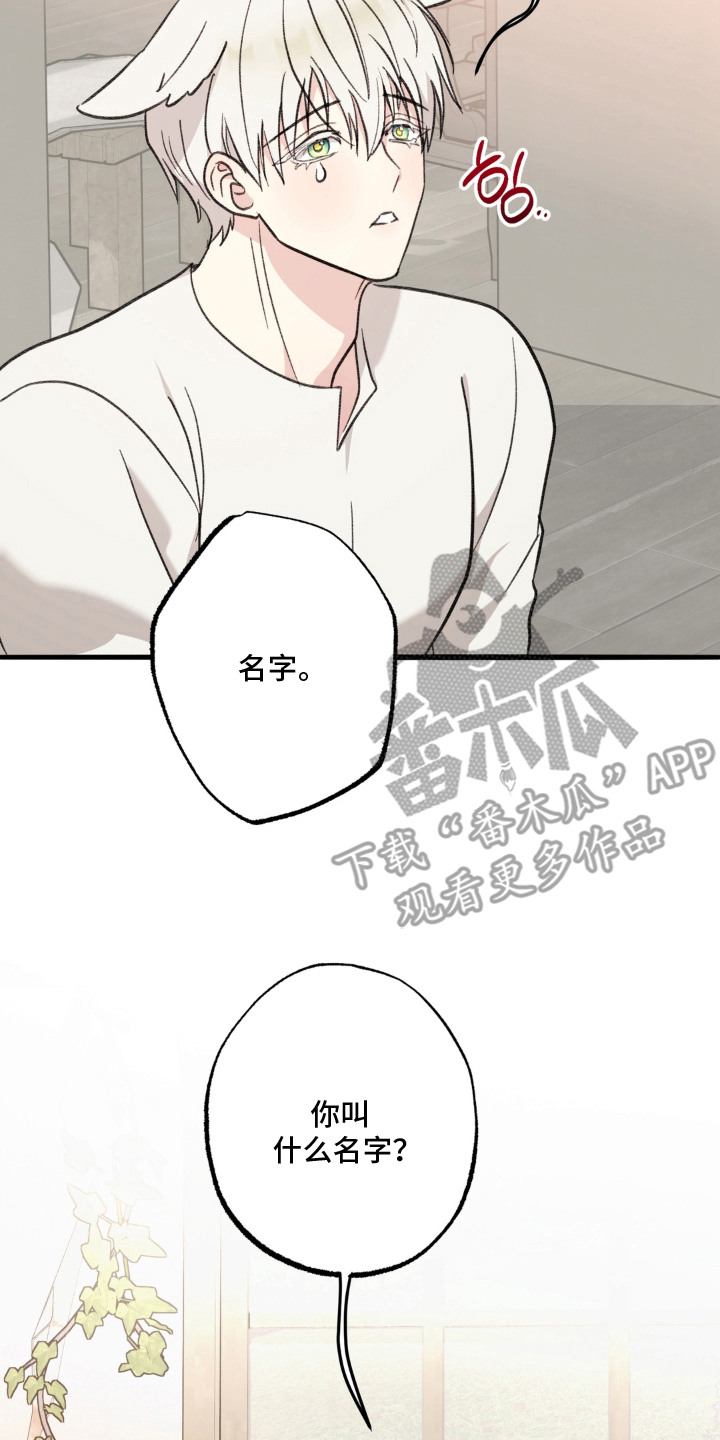 第8话9