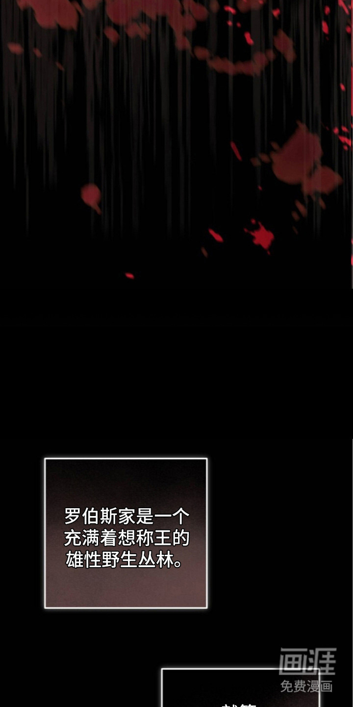 第24话13
