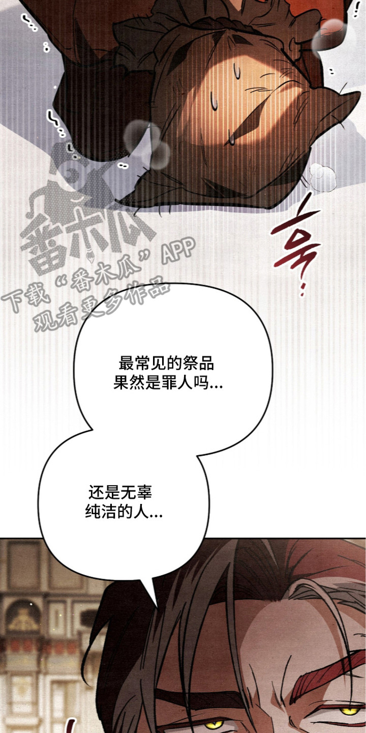 第8话17