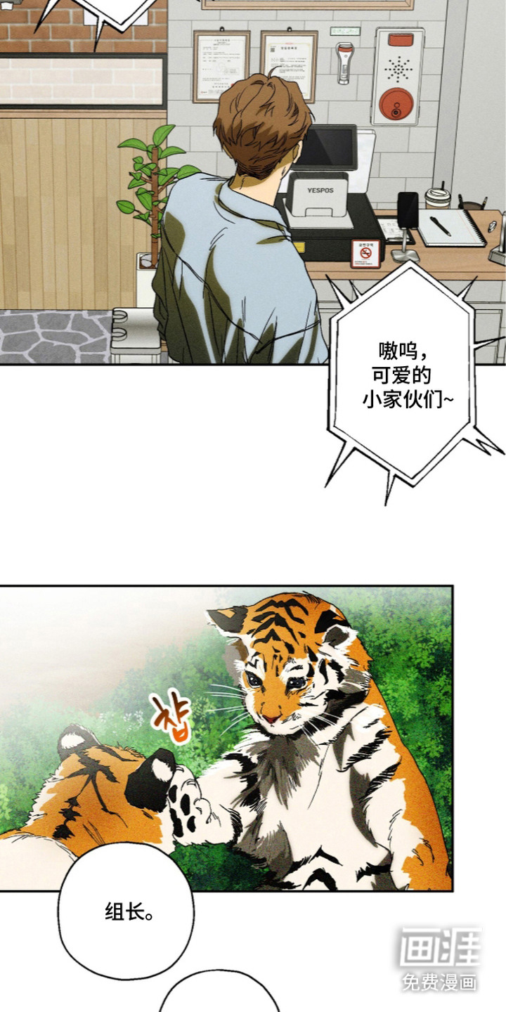 第14话11
