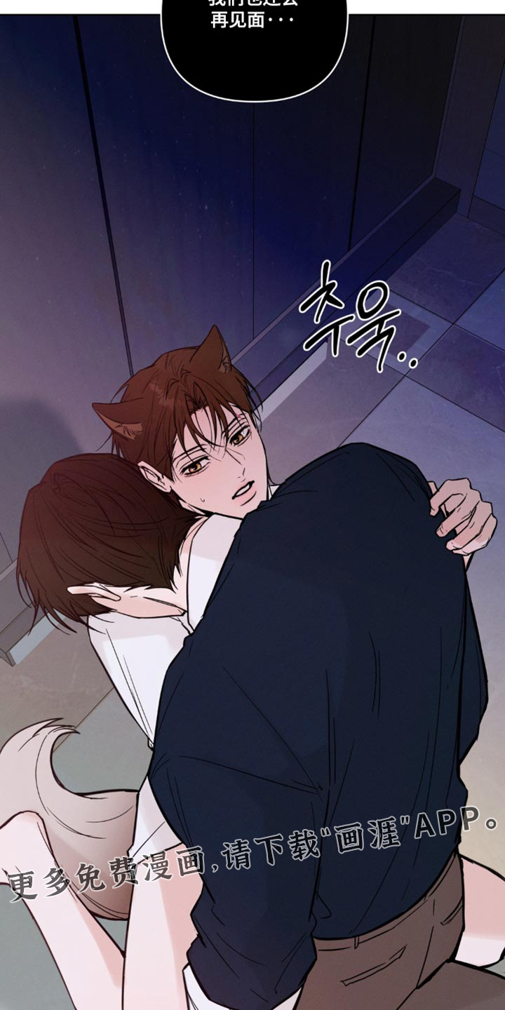 第31话20