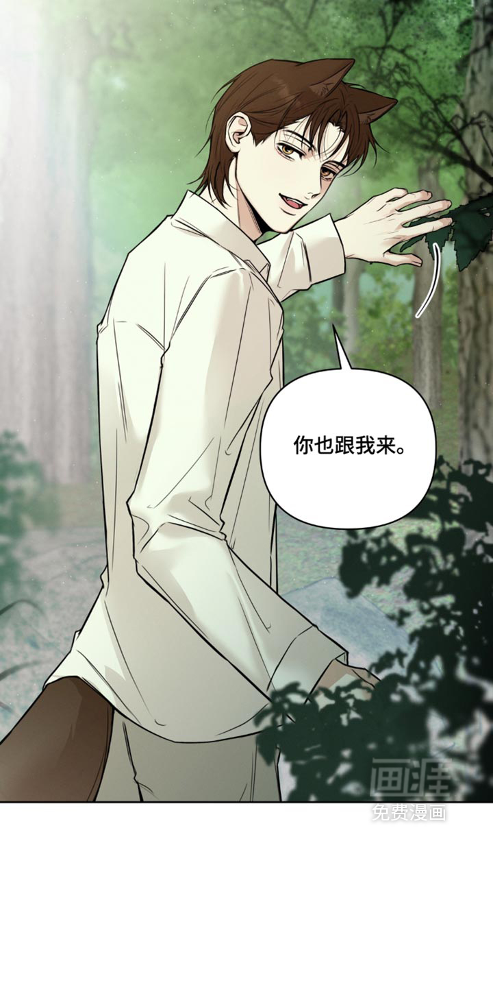 第19话19