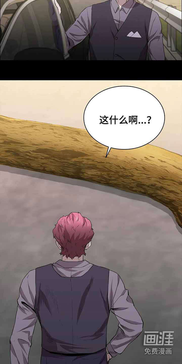第54话24