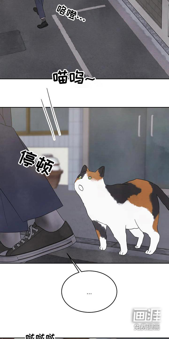 第155话3