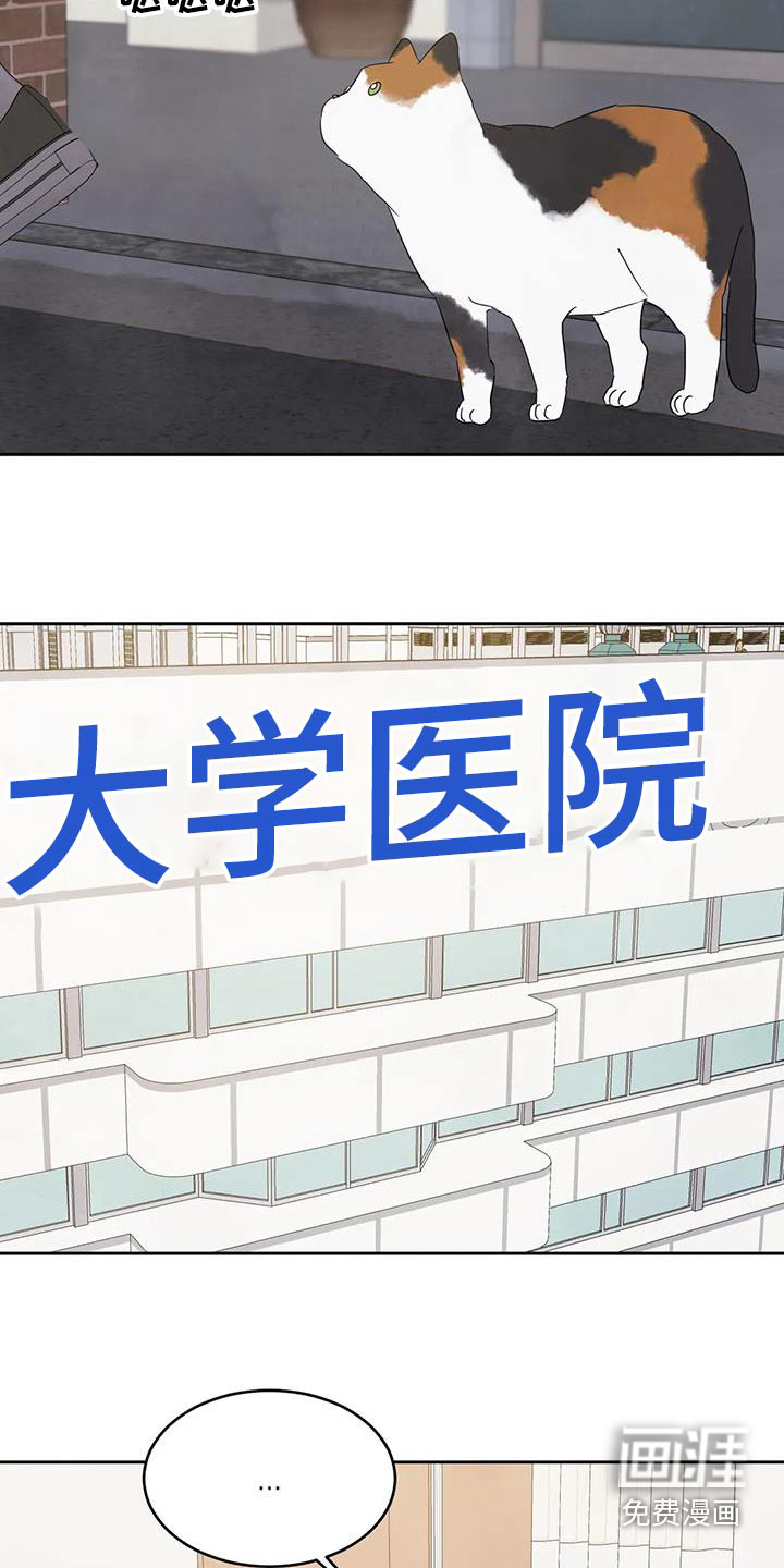 第155话4
