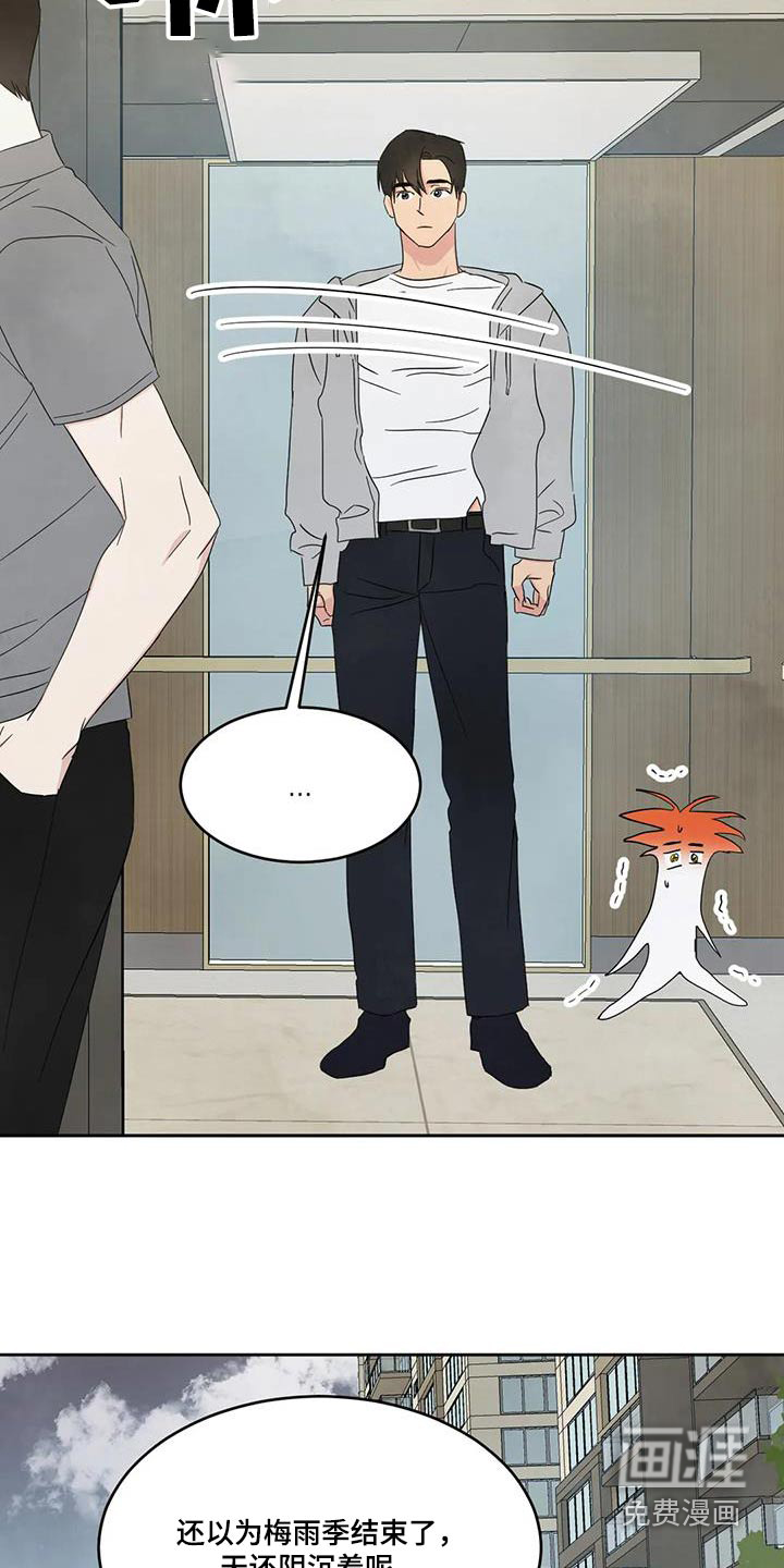 第138话11