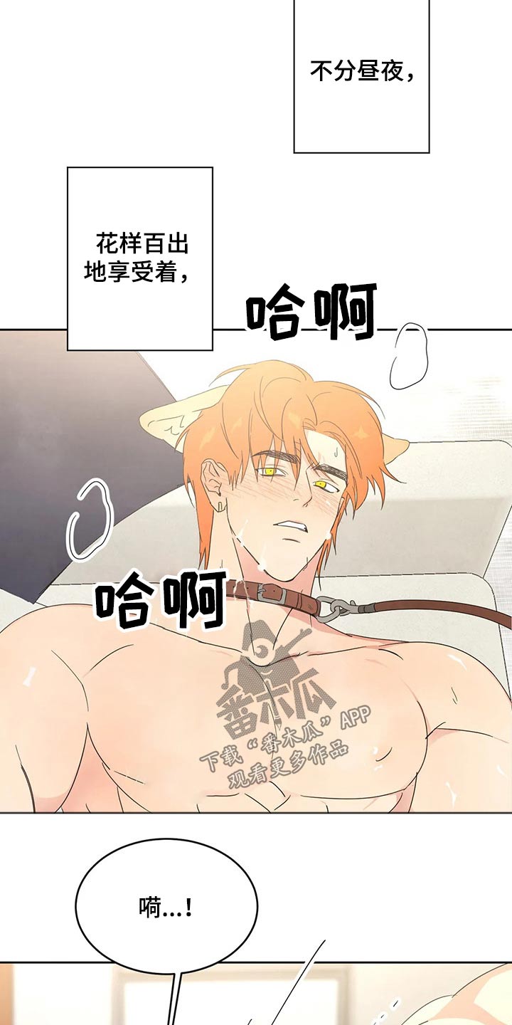 第44话7