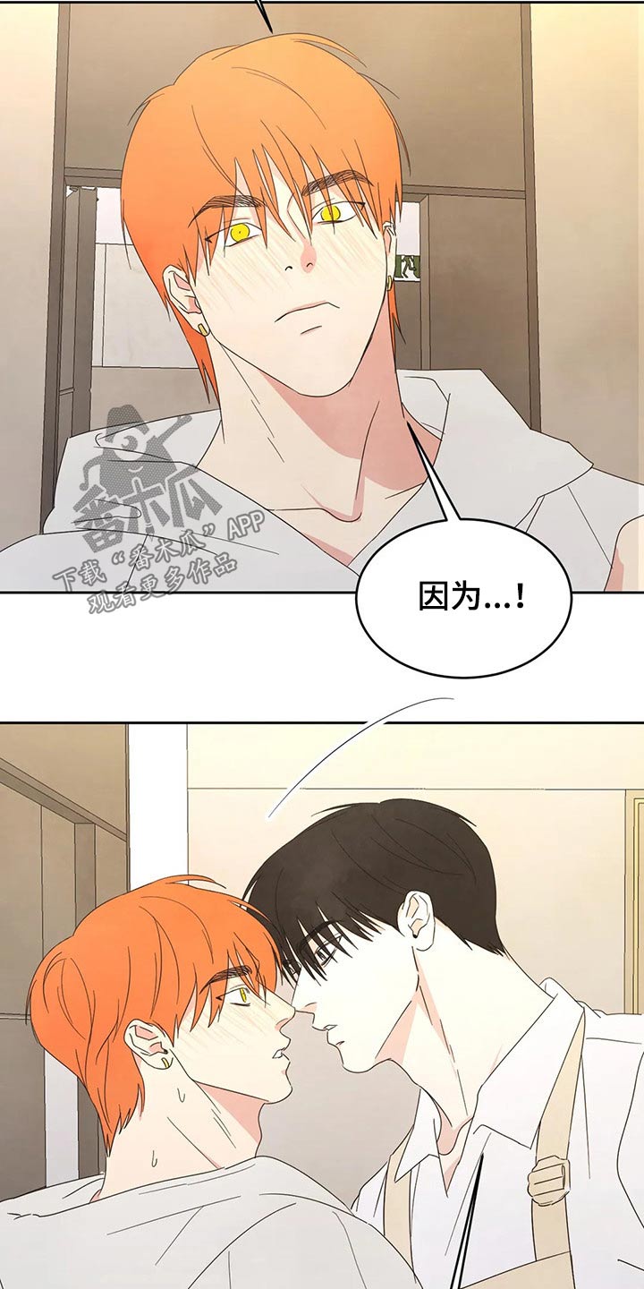 第41话4