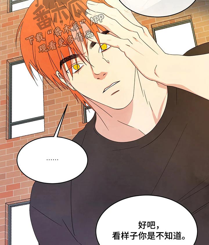 第37话5