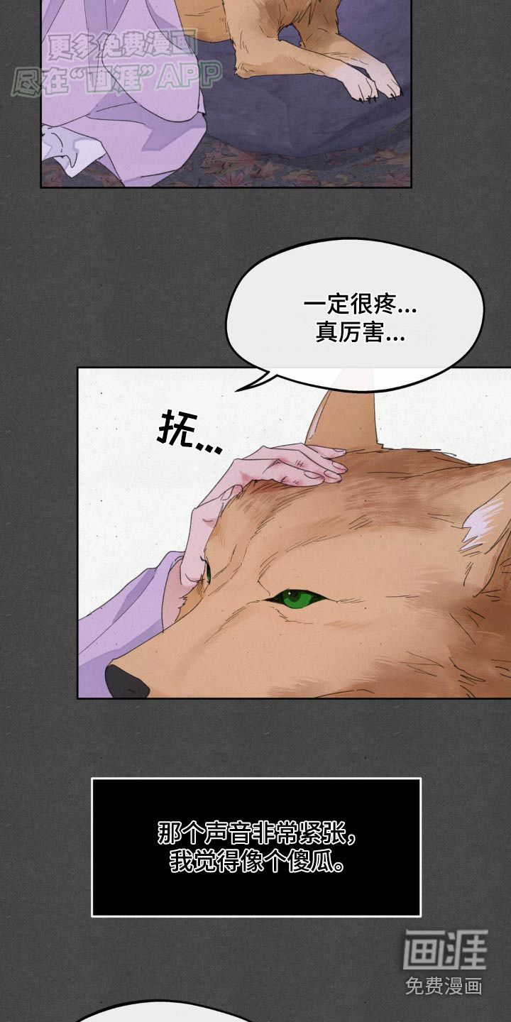 第172话11