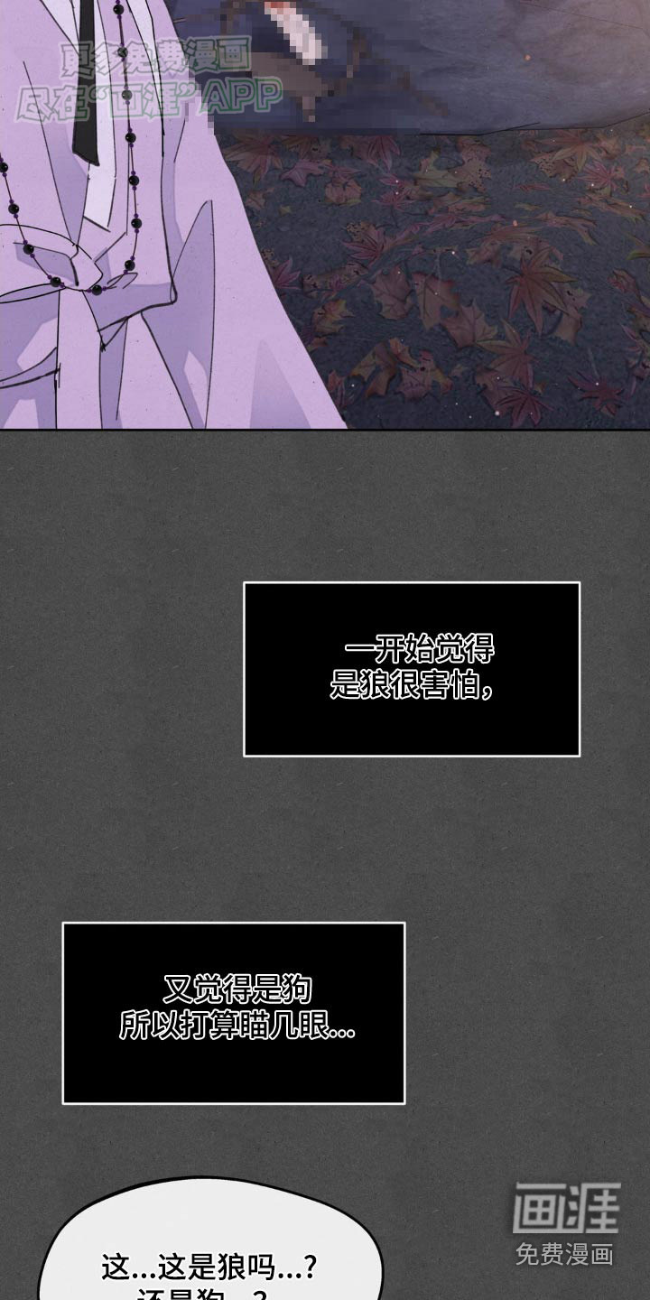 第172话3
