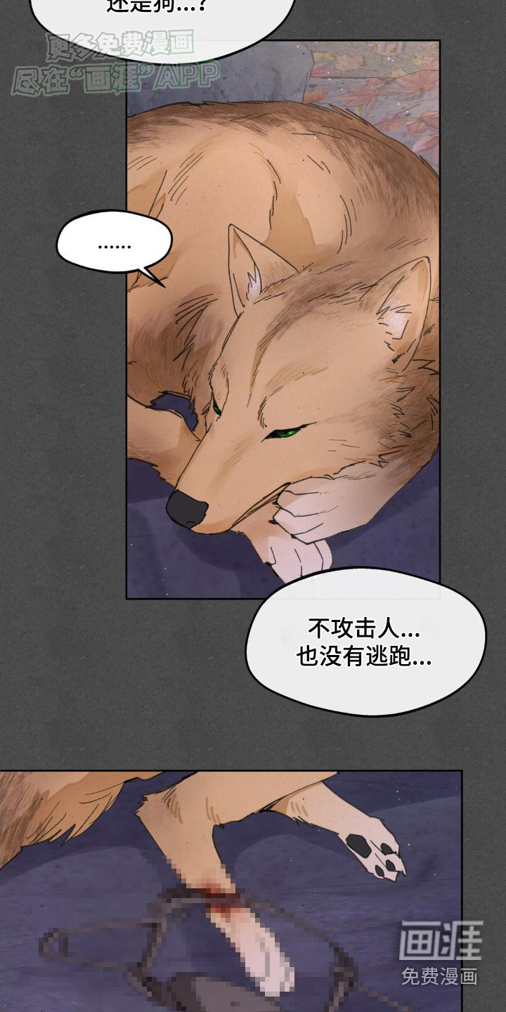 第172话4