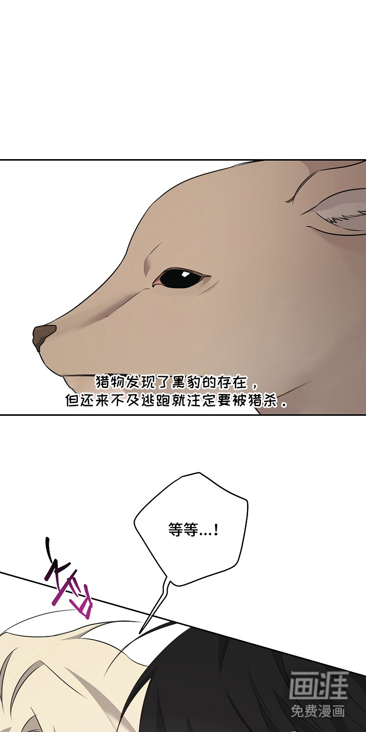 第11话5