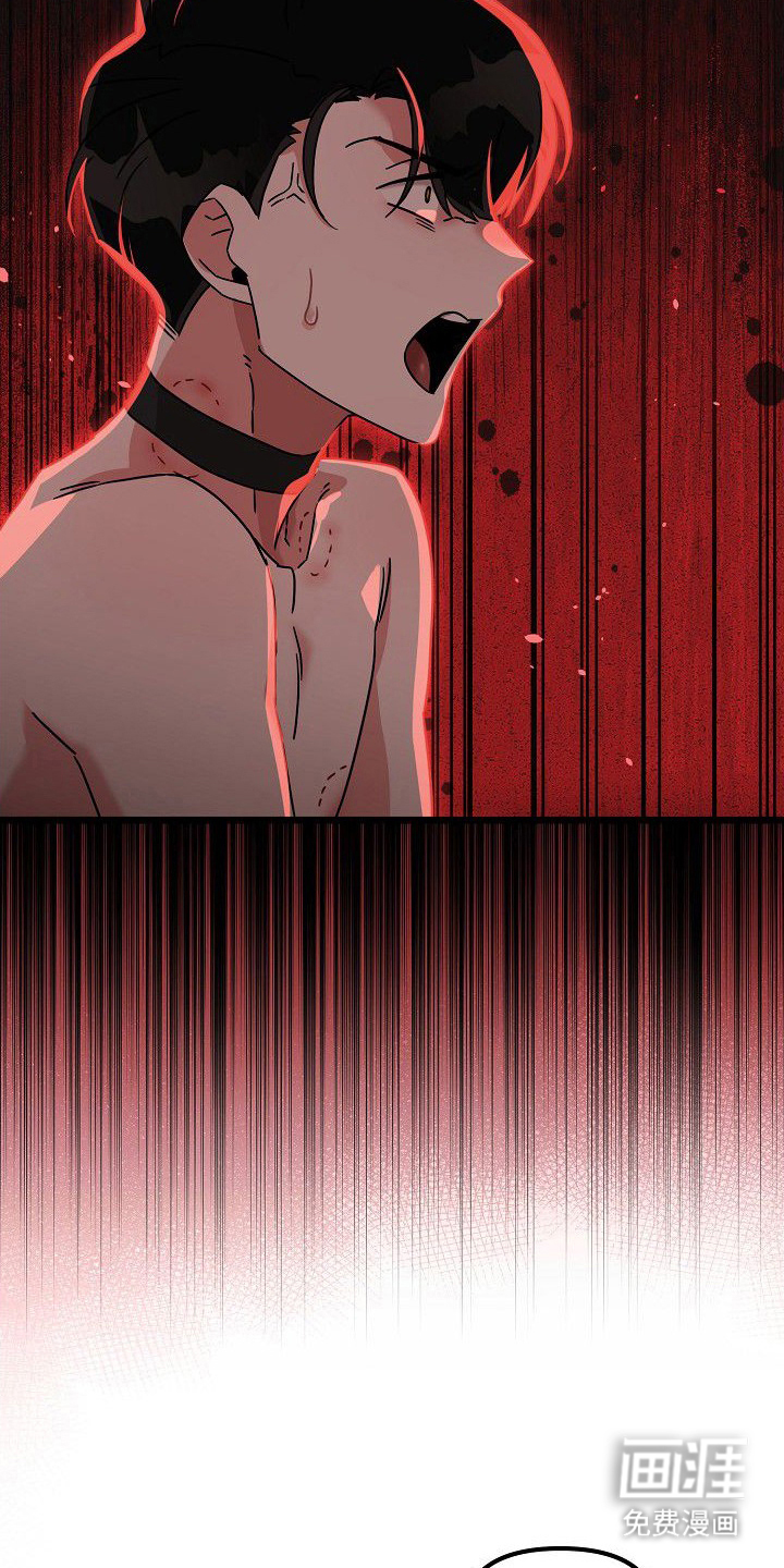 第15话17