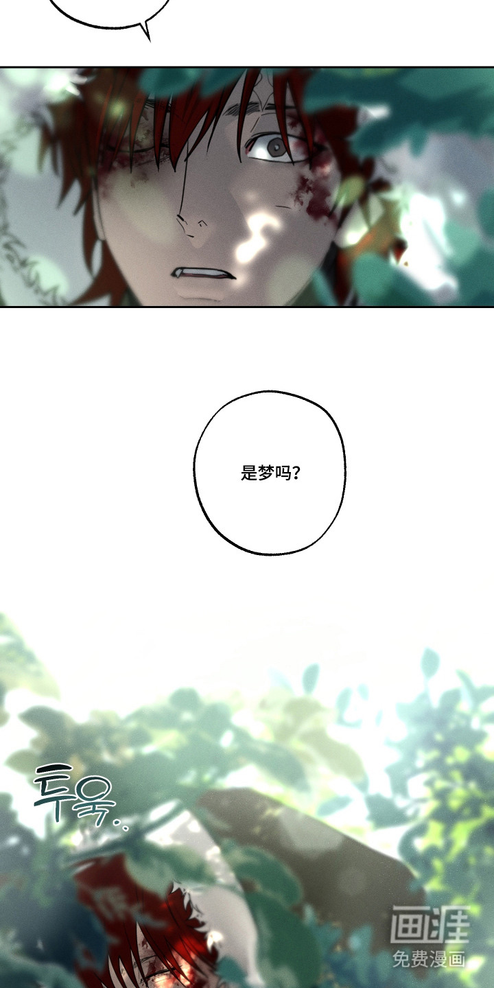 第11话19