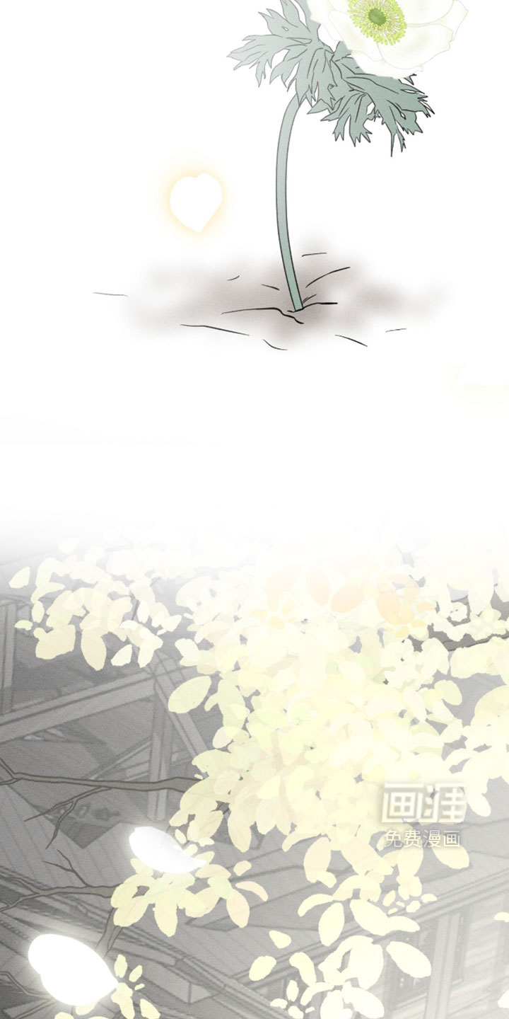 第168话22