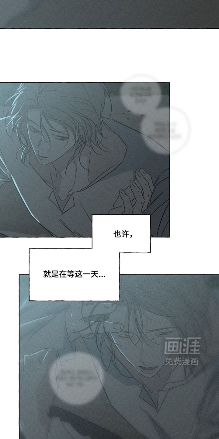 第164话6