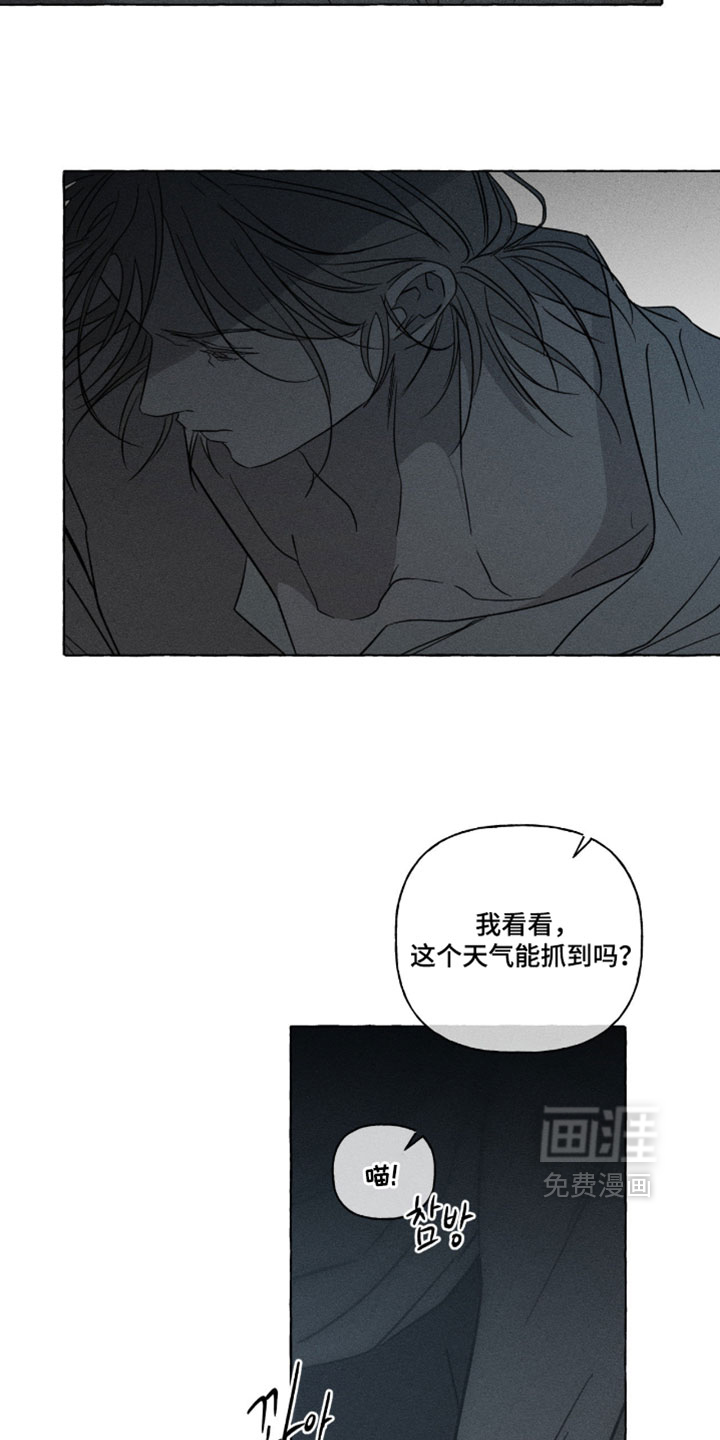 第161话29