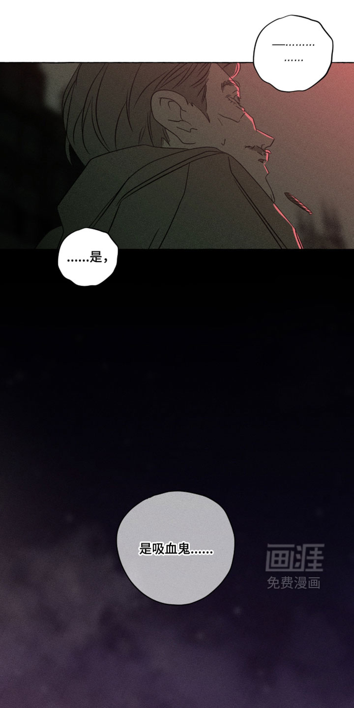 第146话11