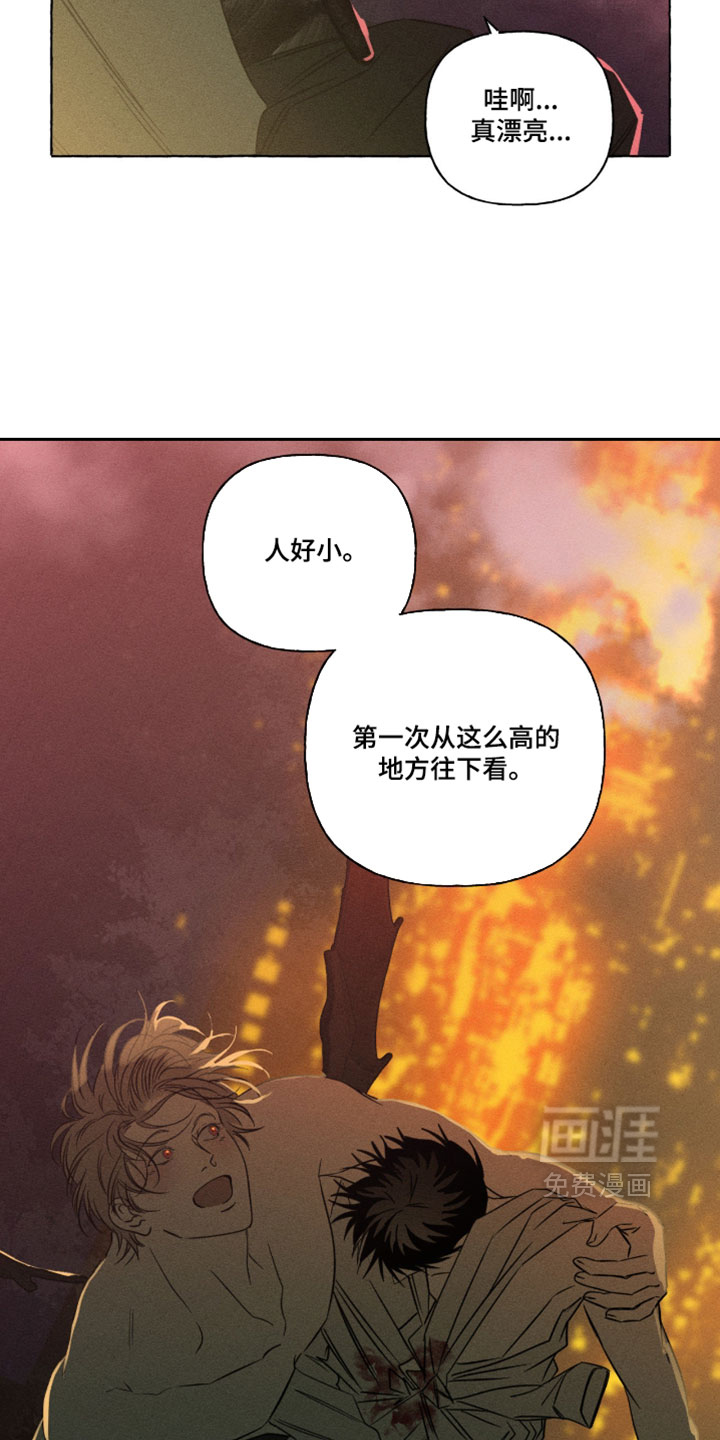 第146话13