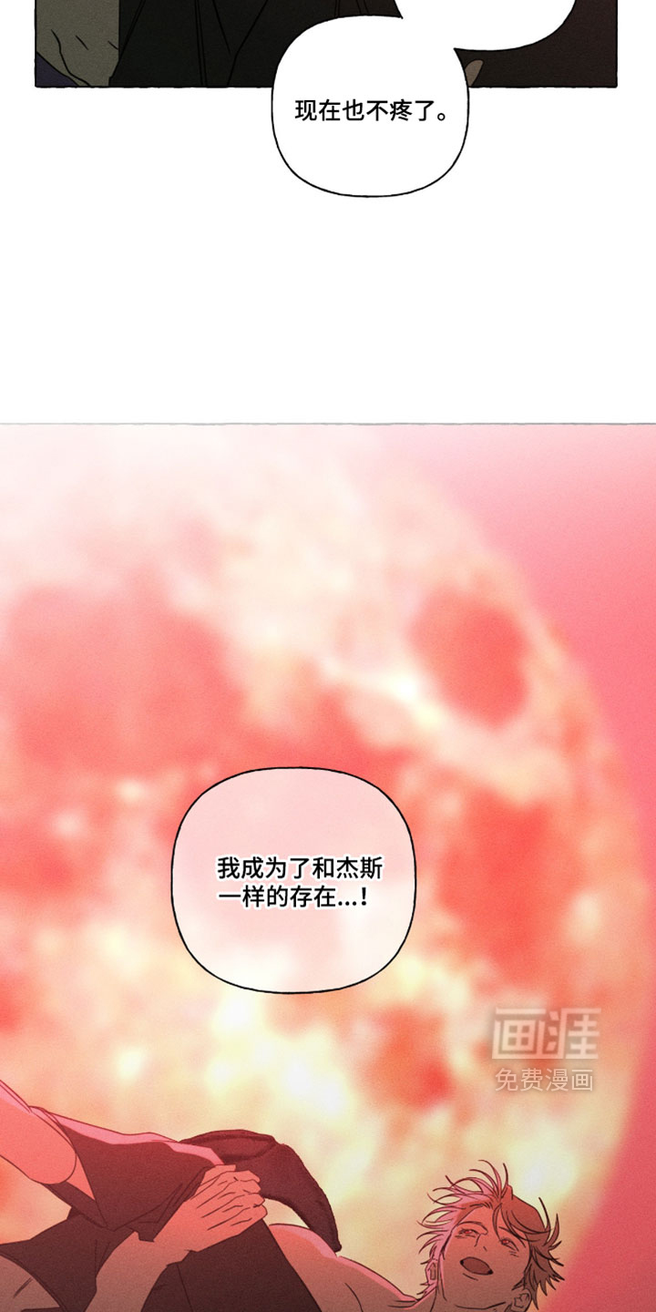 第146话15