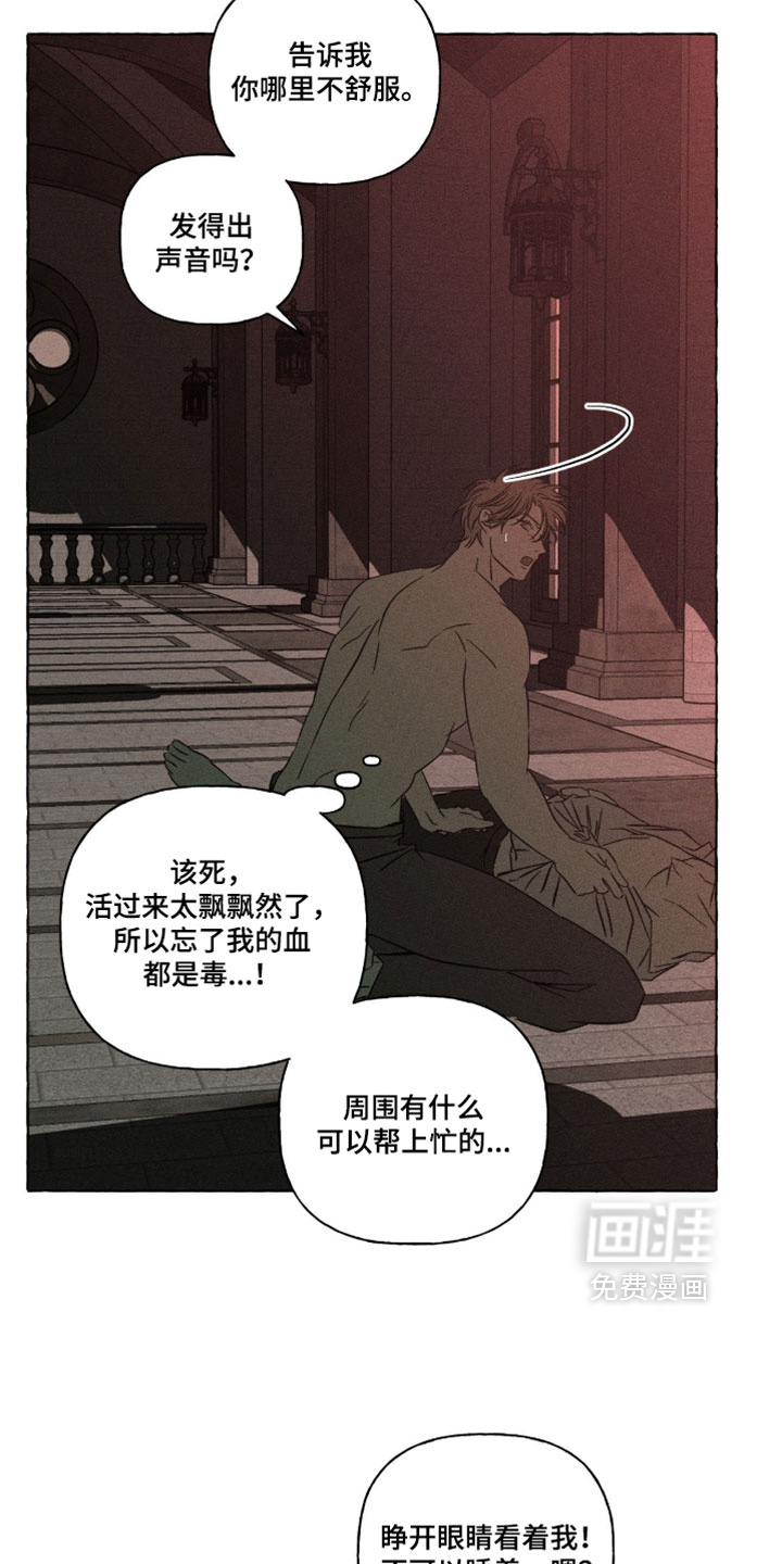 第146话24