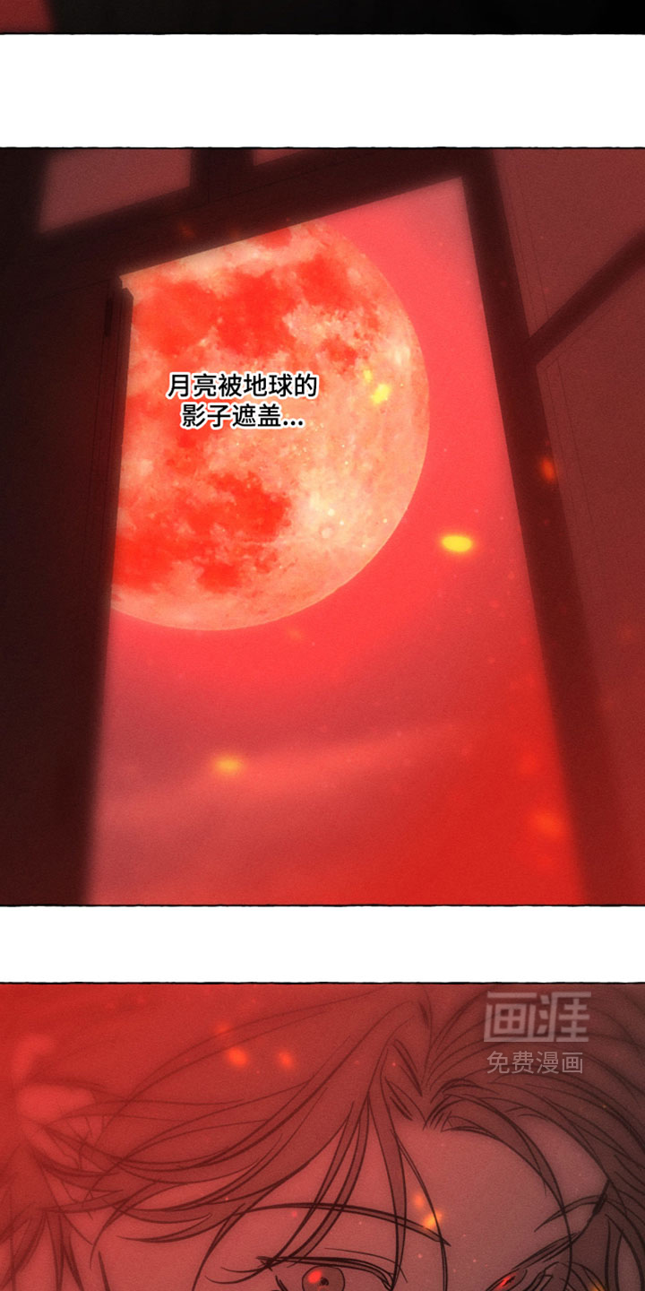 第144话13