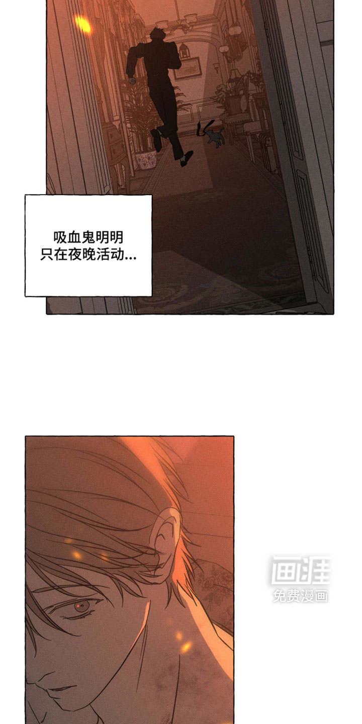 第144话5