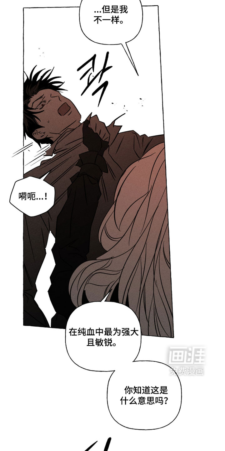第140话31