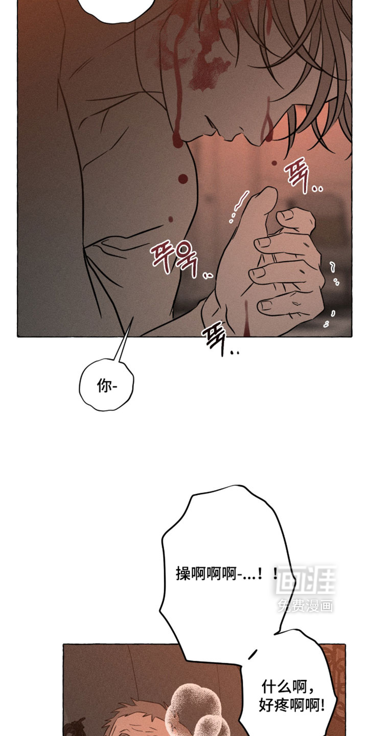 第137话13
