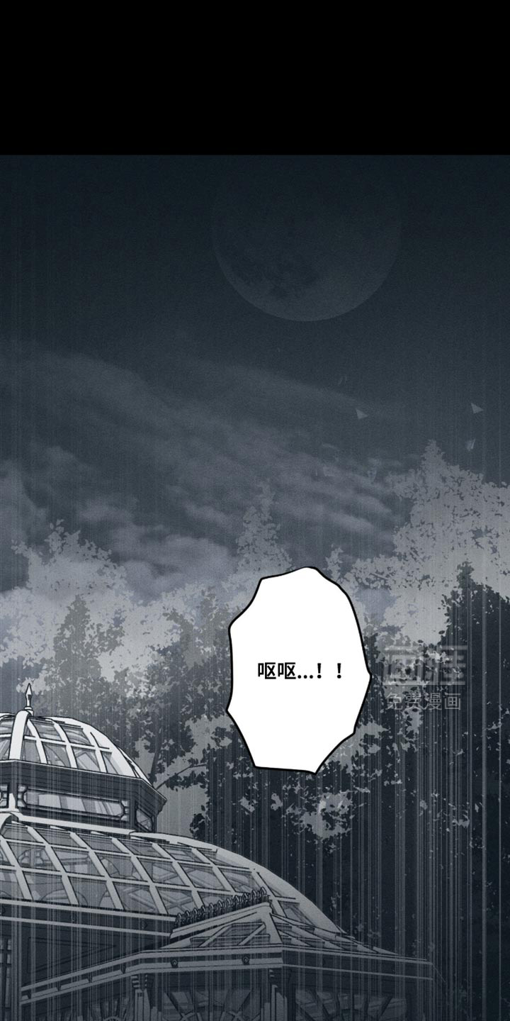 第118话0