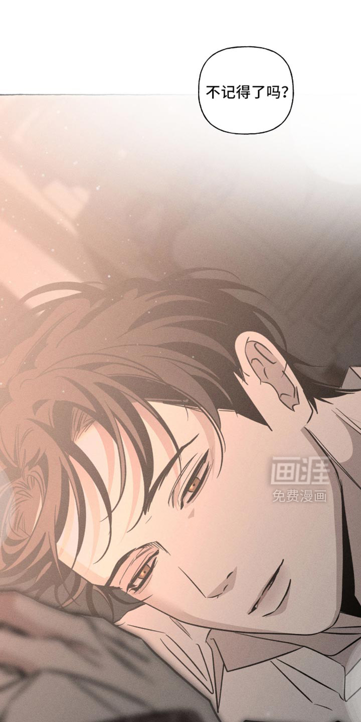 第117话22