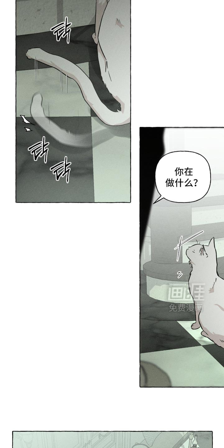 第116话13