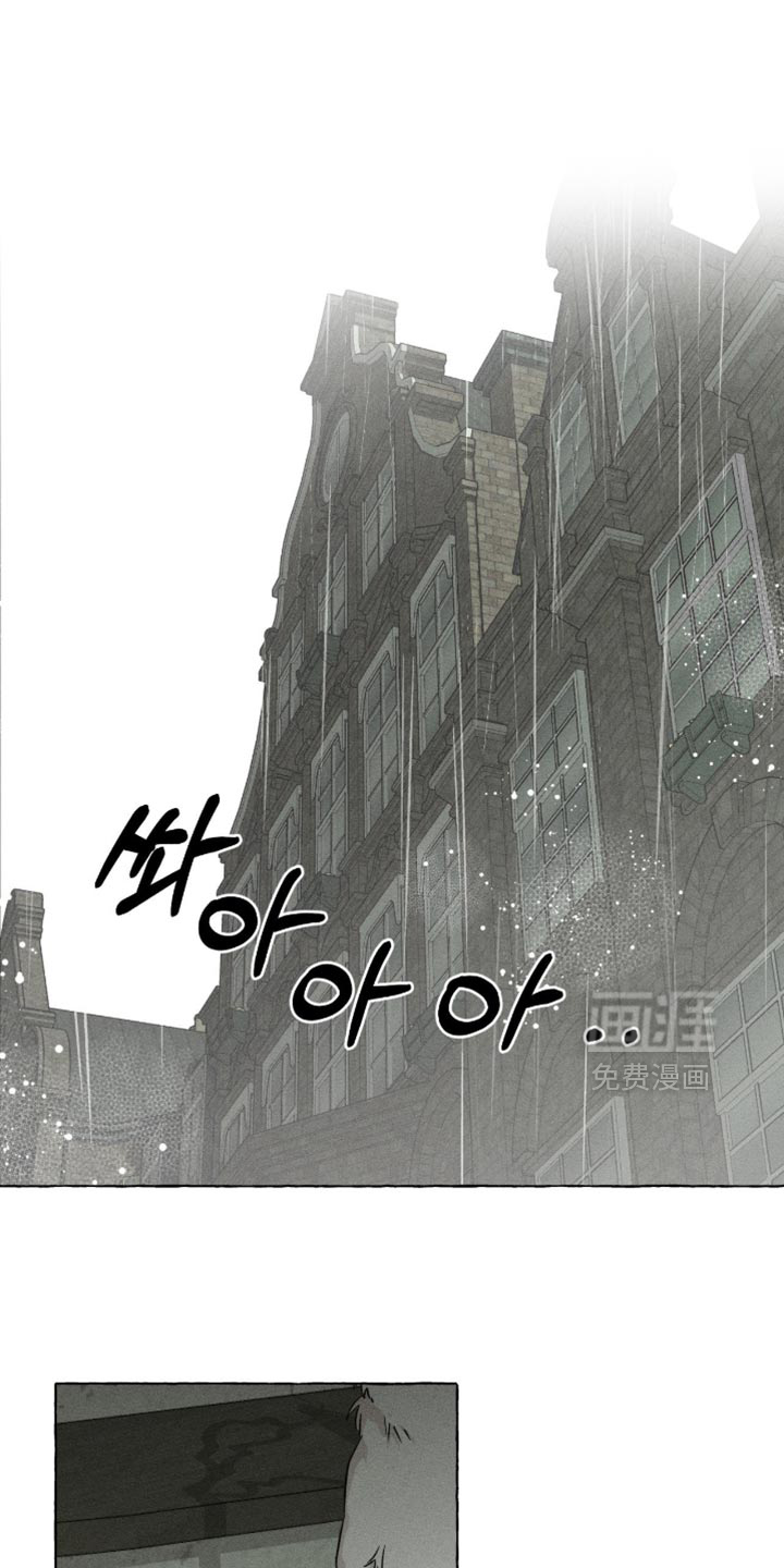 第116话12