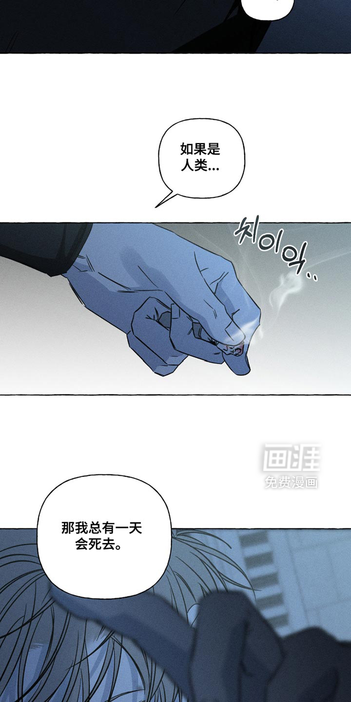 第113话11