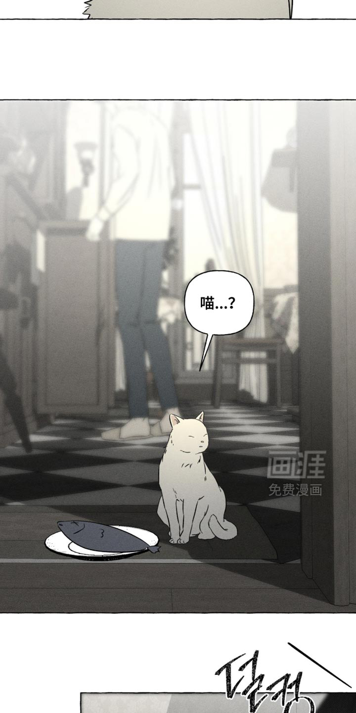 第111话5