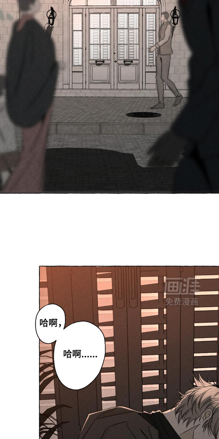 第110话5