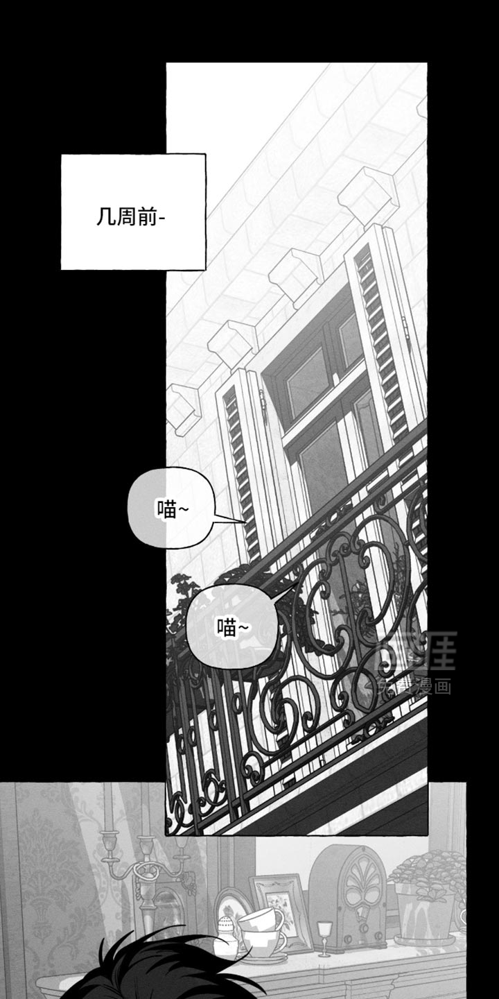 第107话0