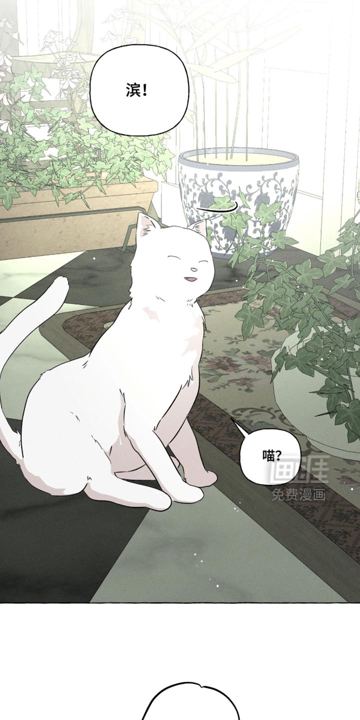 第102话8