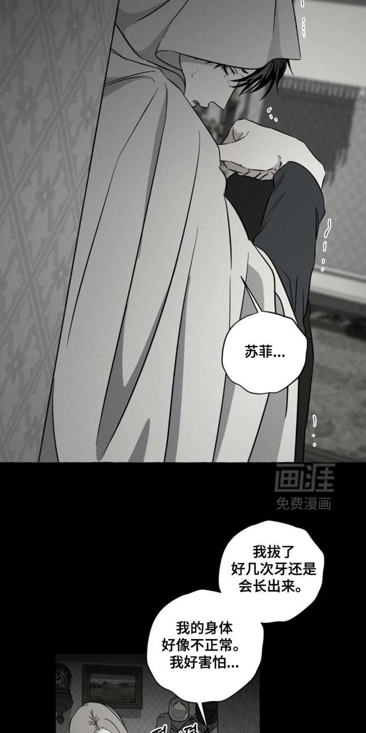 第84话11