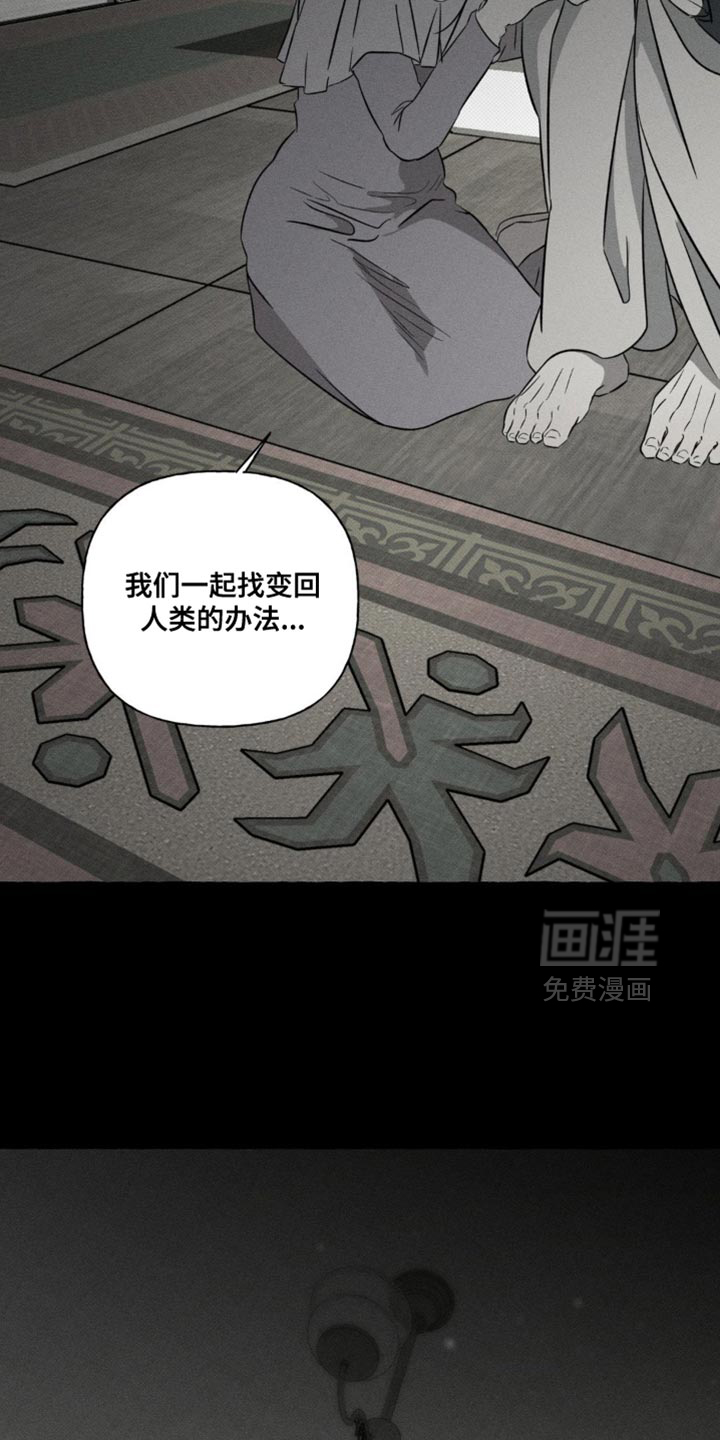 第84话16