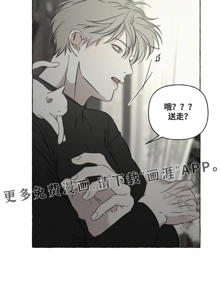 第80话19