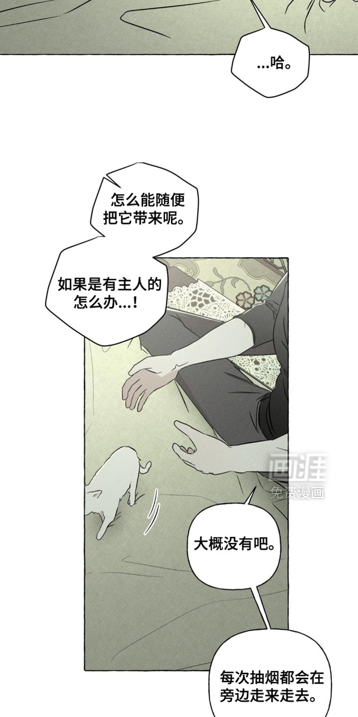 第78话13