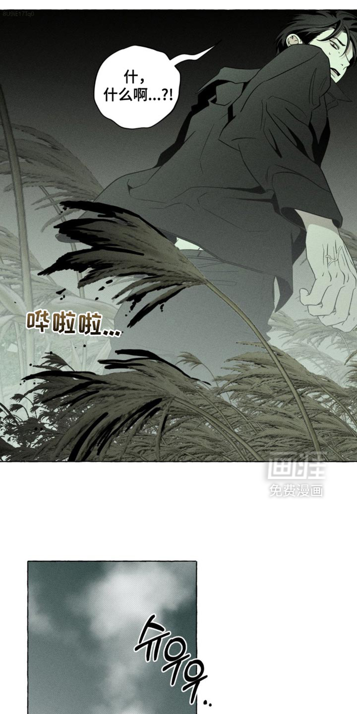 第71话5