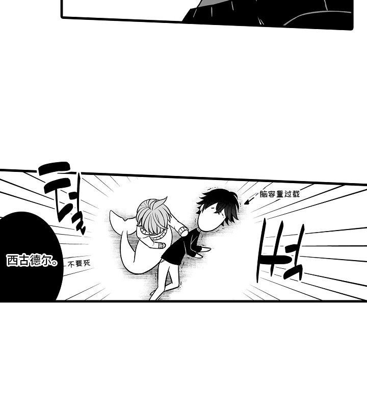 第5话16