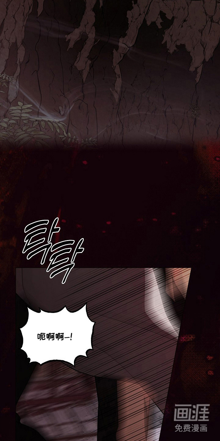 第11话14