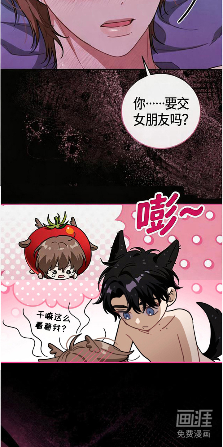 第11话6