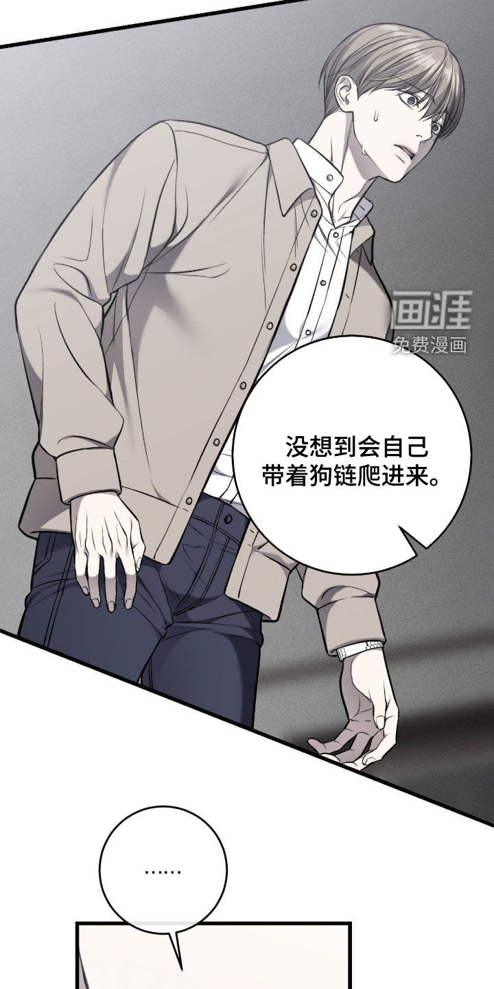 第120话17