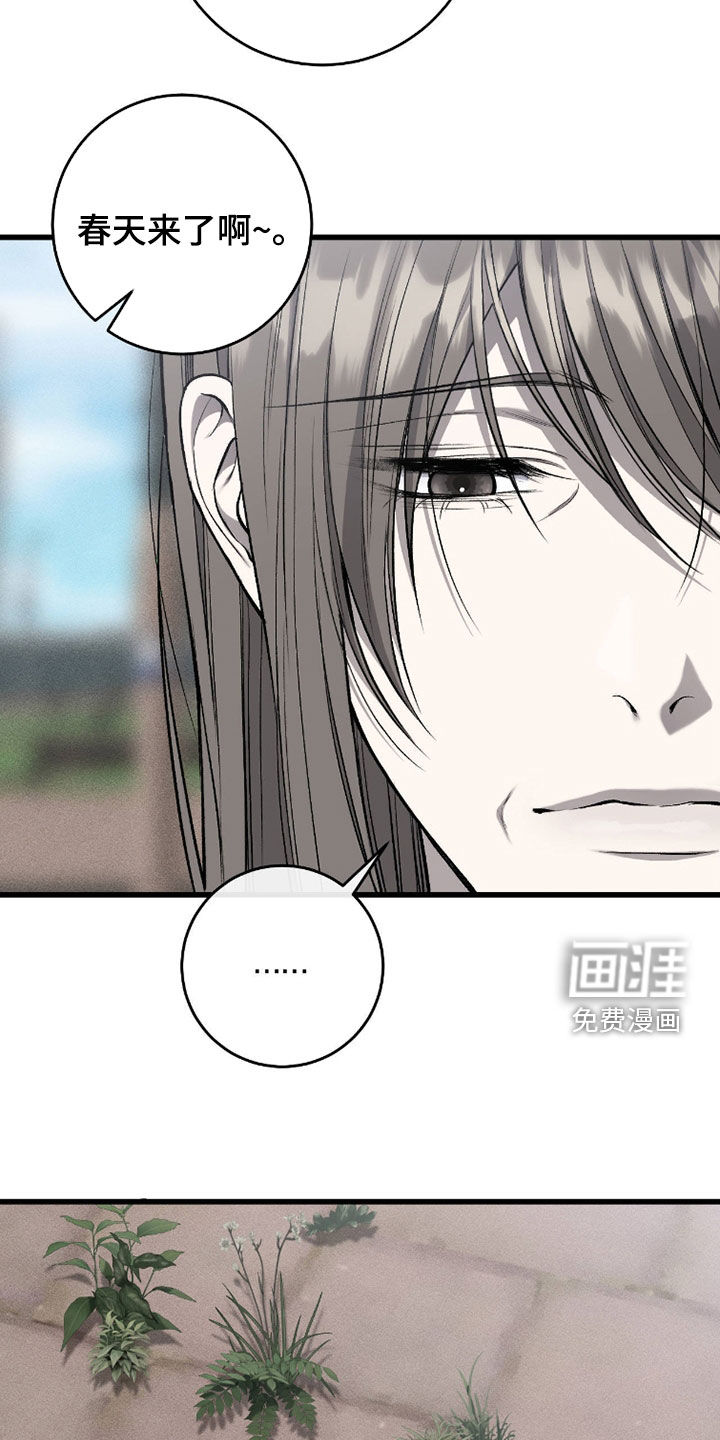 第117话12